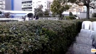 277DCV-242 家まで送ってイイですか？case.230 高崎で一番！伝説のヤリマンギャル！Awi○hばり